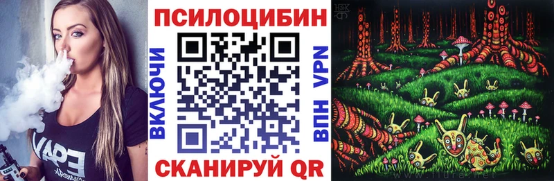 Псилоцибиновые грибы прущие грибы  Камешково 